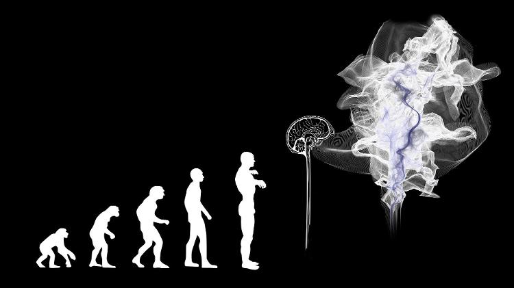 Illustrazione - La teoria dell'evoluzione Teoria darwiniana dell'evoluzione - Gerd Altmann / Pixabay - Gerd Altmann / Pixabay