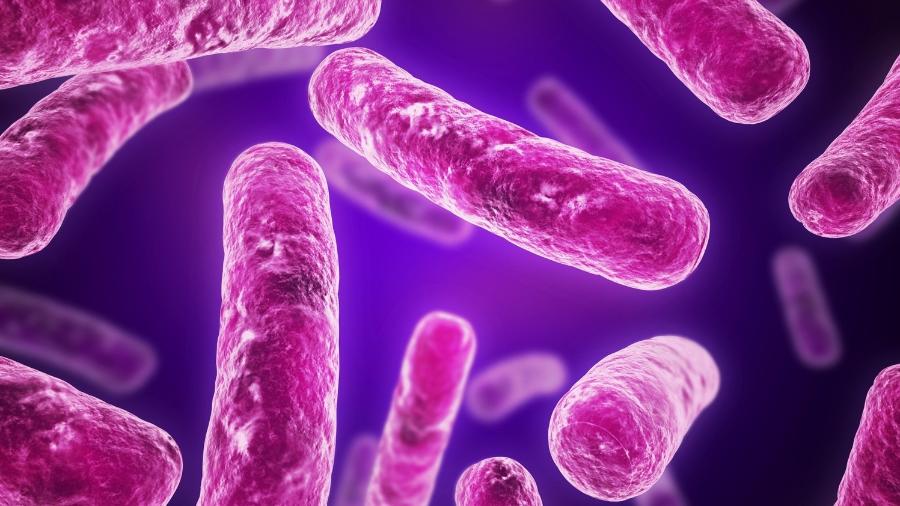 Ilustração de bactéria do tipo bacilo, alvo da pesquisa dos brasileiros - SciePro/Getty Images/iStockphoto