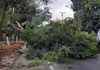 Yakecan: Ciclone chega ao Brasil e vendavais deixam cidades em alerta - EPTC Porto Alegre/Reprodução