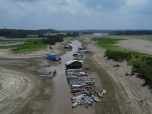 Mudanças climáticas impactam economia da Amazônia