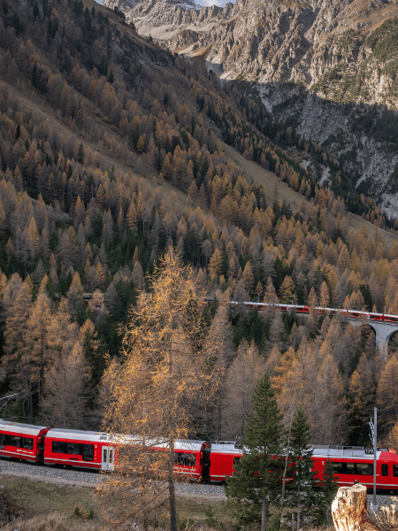 trem2 - Fabrice COFFRINI / AFP - Fabrice COFFRINI / AFP