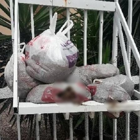 Saco de lixo com fezes colocada pelo morador que foi detido após tentar agredir coletores - Divulgação/PMSC