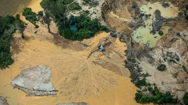 Garimpeiro busca ouro na TI Yanomami; atividade ilegal no local explodiu sob Bolsonaro - Bruno Kelly/Amazo?nia Real - Bruno Kelly/Amazo?nia Real