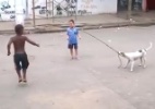 Cachorro sangue bom entra na brincadeira e ajuda criançada a pular corda - Facebook