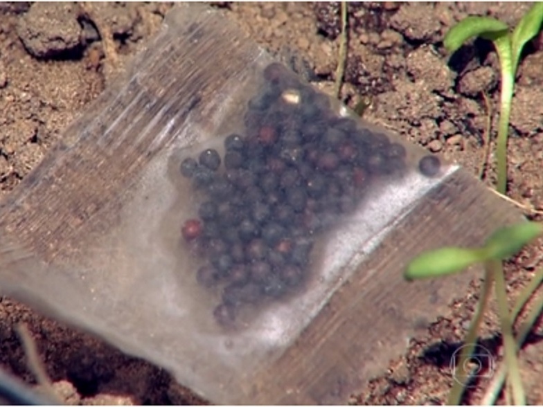 O que é "brushing"?