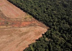 Amazônia Legal registra desmatamento recorde no primeiro semestre (Foto: Amanda Perobelli/File Photo/Reuters)