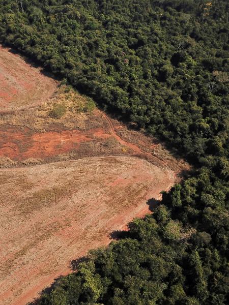 28 jul. 2021 - Vista aérea mostra área de desmatamento na fronteira entre a Amazônia e o Cerrado, em Nova Xavantina, no Mato Grosso - Amanda Perobelli/File Photo/Reuters