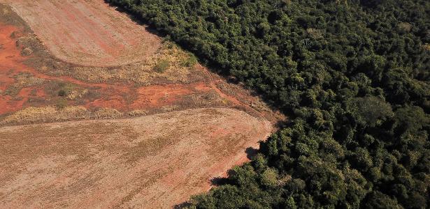28 jul. 2021 - Vista aérea mostra área de desmatamento na fronteira entre a Amazônia e o Cerrado, em Nova Xavantina, no Mato Grosso
