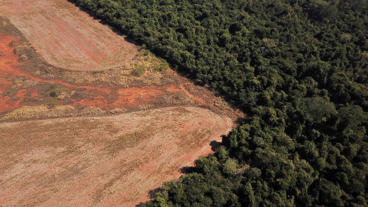 Vista aérea mostra área de desmatamento na fronteira entre a Amazônia e o Cerrado, em Nova Xavantina, no Mato Grosso