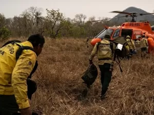 Fogo no Pantanal deixa animais resgatados sem ter para onde ir