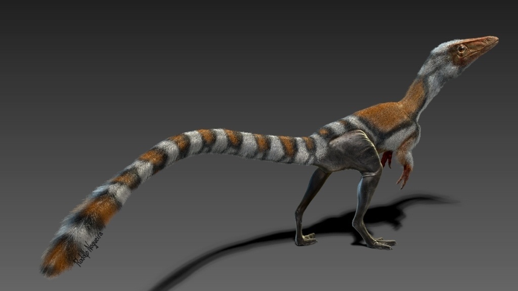 Rodolfo Nogueira / Divulgação