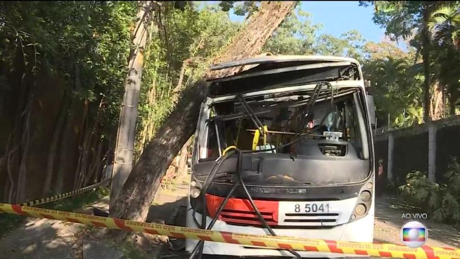 Ônibus bate em árvore na região do Morumbi, em São Paulo - Reprodução/TV Globo