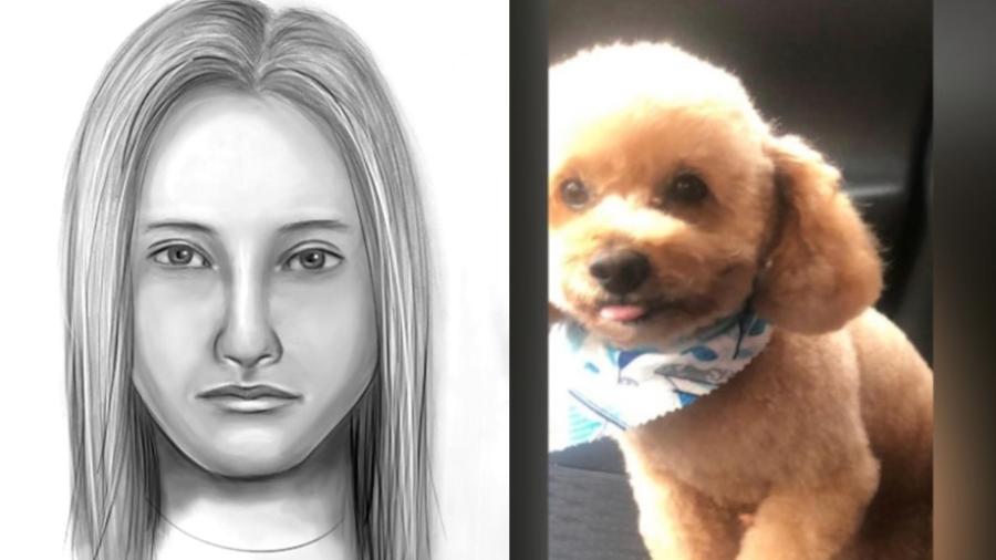Polícia fez retrato falado de suspeita de ter matado cão - Divulgações/Suffolk County Police/Montagem UOL