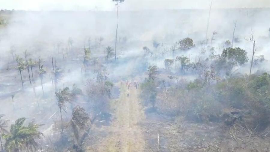 Imagem de drone mostra incêndio no Parque Nacional Monte Pascoal, no sul da Bahia