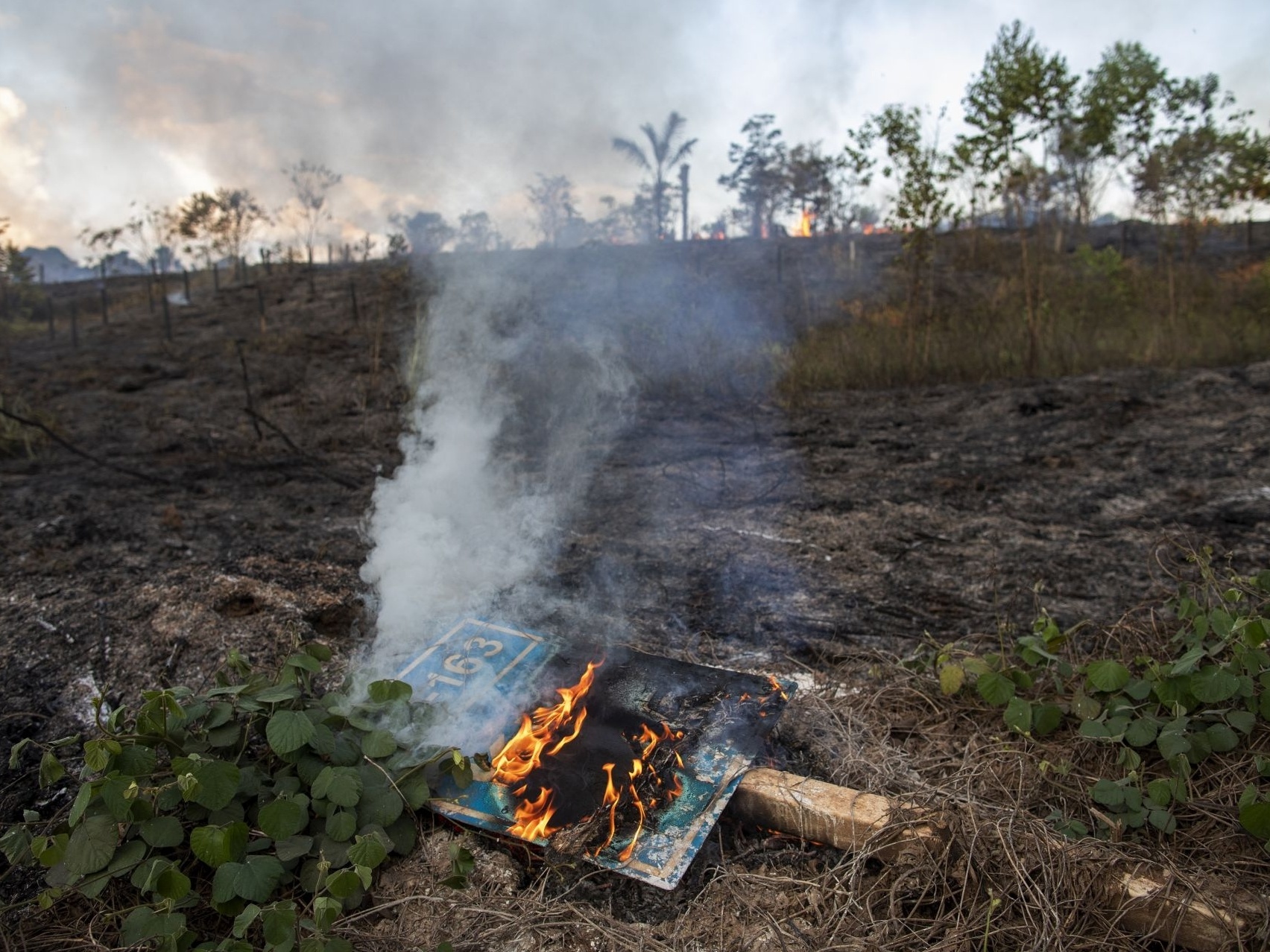 Lotes, pastos e desmatadores convivem em áreas de preservação da Amazônia