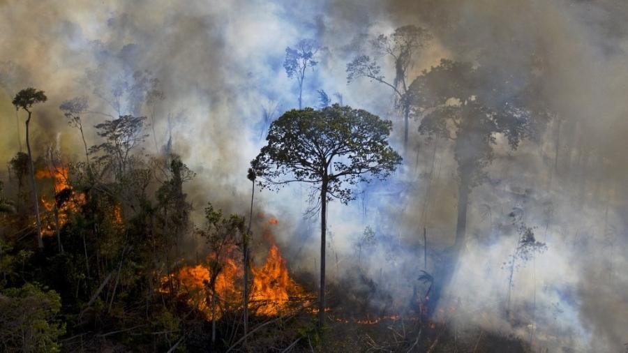 Foto tirada em 15 de agosto de 2020 mostra queimada ilegal na Amazônia - Carl de Souza/AFP