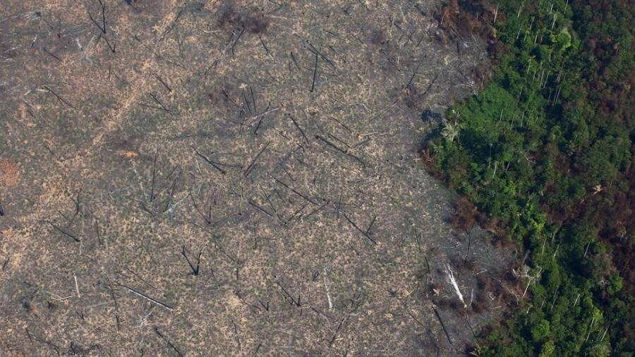 Segundo estudo, os municípios com maior desmatamento sofrem mais com violência e pobreza - REUTERS