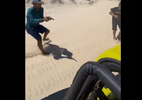 Segundo suspeito de tentar assaltar turistas em duna no Ceará é preso - Reprodução