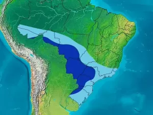 Brasil deve registrar primeira onda de frio de 2024: 'Mudança brusca'