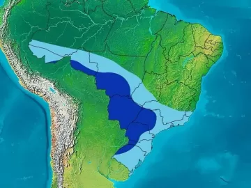 Brasil deve registrar primeira onda de frio de 2024: 'Mudança brusca'