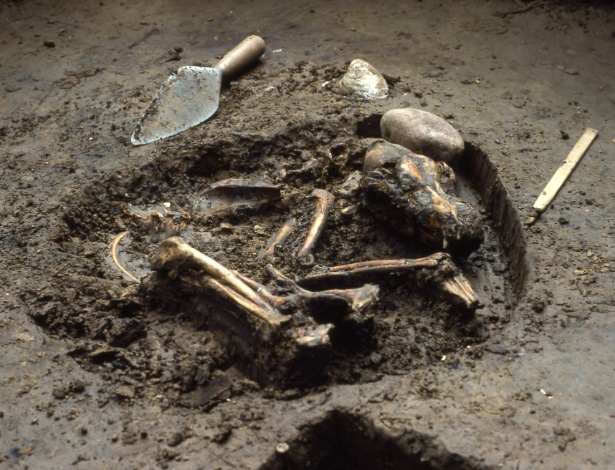Cachorro de 10 mil anos de idade descoberto em um sítio arqueológico nos EUA - Del Baston, courtesy of the Center for American Archeology via The New York Times