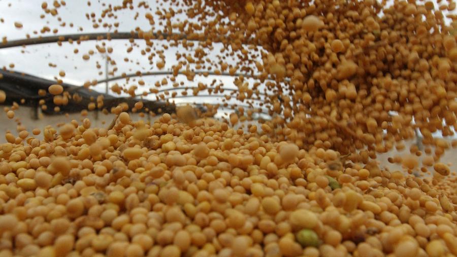 A cultura agrícola que mais contribuiu para a safra 2020 foi a soja, principal produto da pauta de exportação nacional - Paulo Whitaker/Reuters