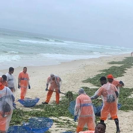 Equipe da Comlurb retira 90 toneladas de gigogas da praia da Barra da Tijuca - Divulgação/ Comlurb