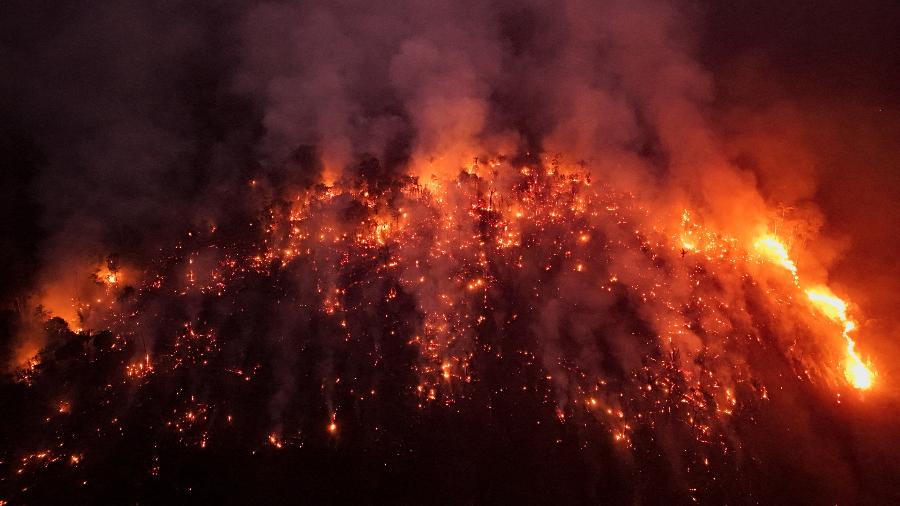 4.set.2024 - Incêndios na Amazônia: fogo devasta área próxima à Rodovia Transamazônica em Lábrea, no Amazonas