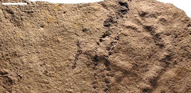 As pegadas datam de cerca de 541 milhões de anos atrás. mas não está claro exatamente que tipo de criatura deixou os rastros - Universidade Virginia Tech/AFP