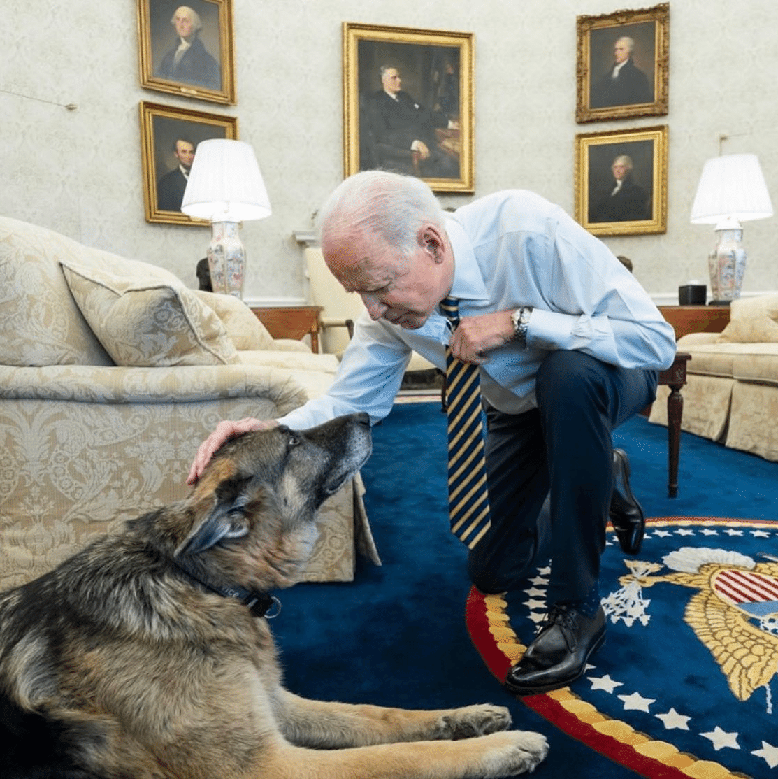 Cachorro de Biden morde agente do serviço secreto dos EUA