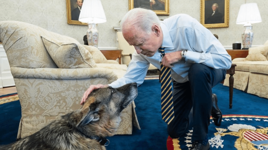 Joe Biden acariciando Champ, seu pastor alemão mais velho - Reprodução/Twitter/@TheFirstDogs
