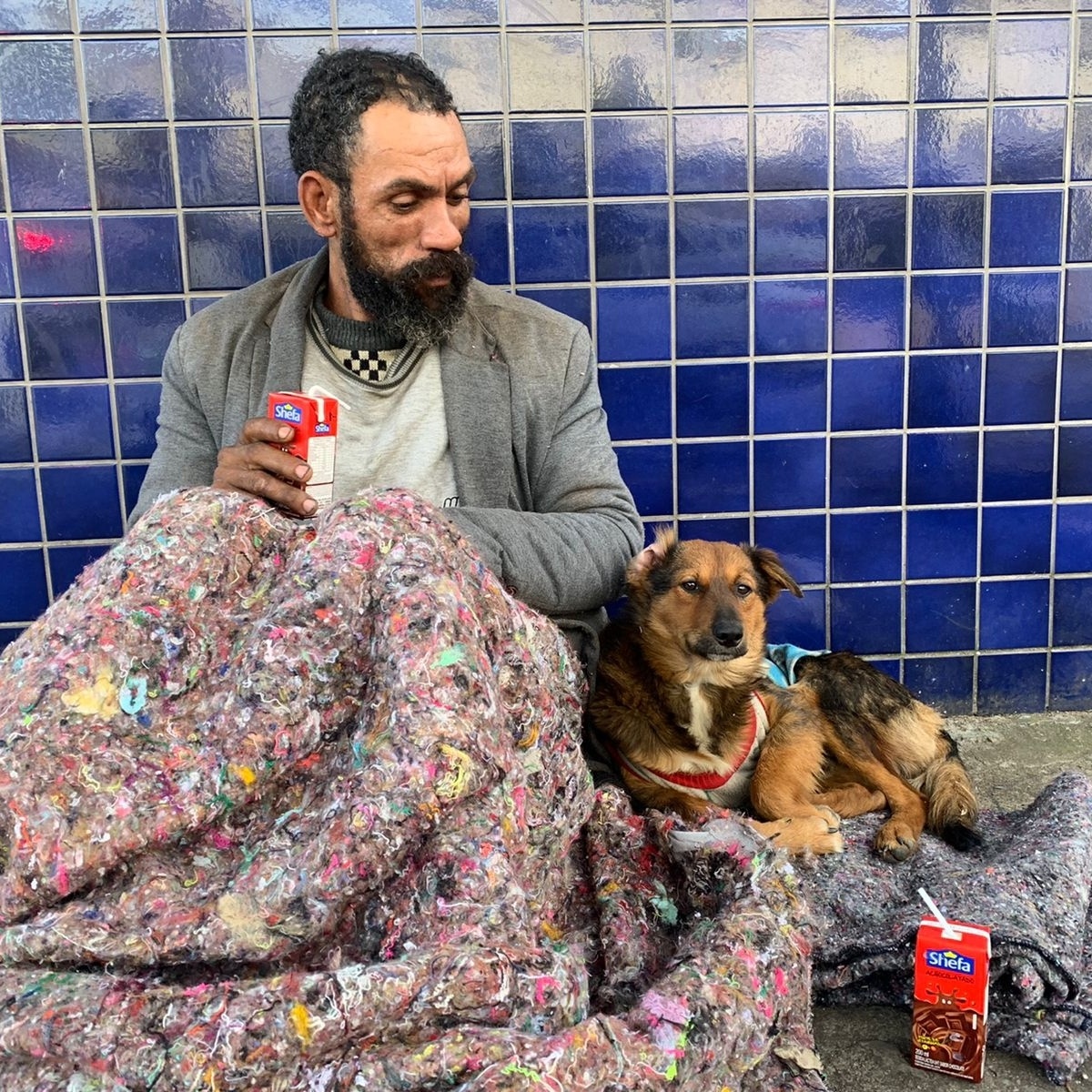 Moradores de rua rejeitam ir a abrigos sem seus cães