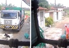 Vídeo de cão atropelado e jogado em caçamba de lixo gera revolta em Maceió - Reprodução