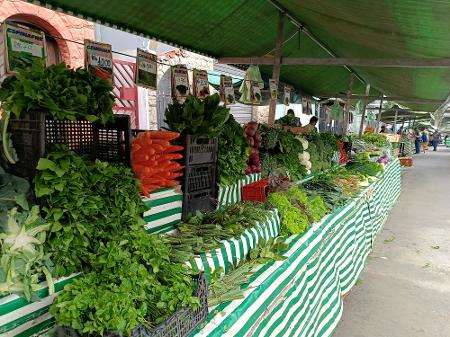 Foto tirada com o Realme 12 5G Foto tirada com o Realme 12 5G