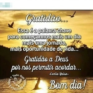 Veja 17 atitudes inconvenientes comuns nos grupos de WhatsApp - 24/09/2015 - UOL TILT Veja 17 atitudes inconvenientes comuns nos grupos de WhatsApp - 24/09/2015 - UOL TILT