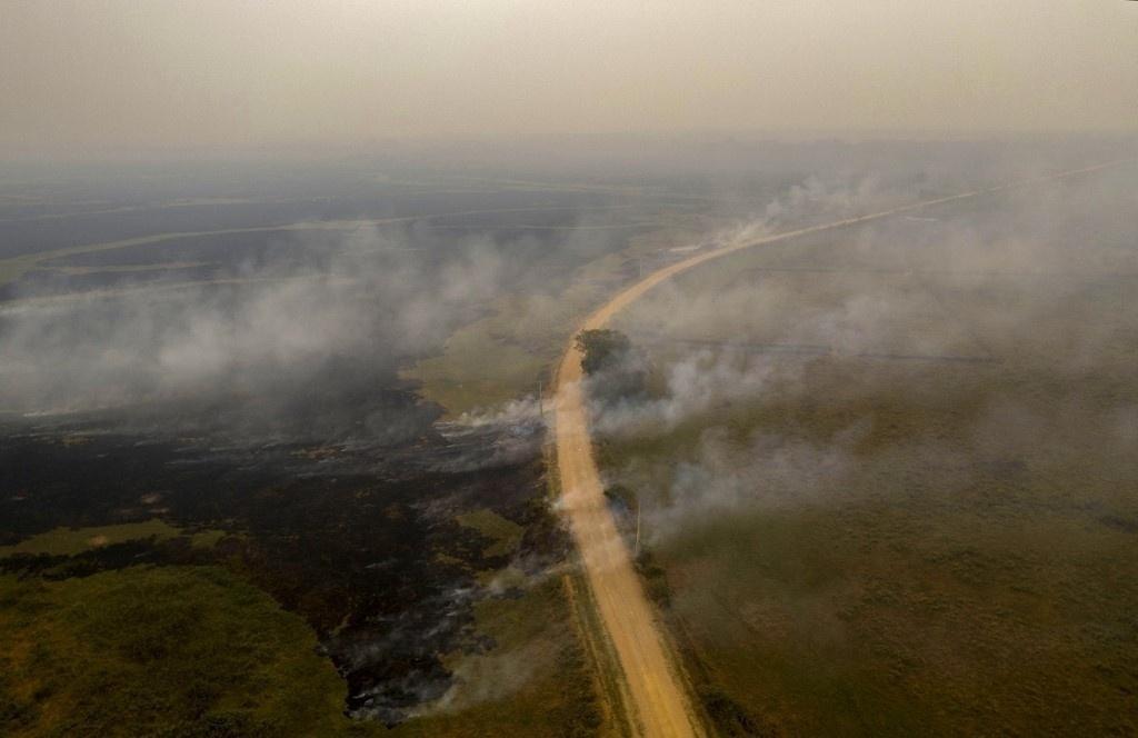 Images show fire in the Pantanal region, devastated by the fires that occurred in September 2020 - Mauro Pimentel / AFP