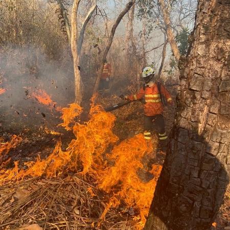 Bombeiro combate focos de incêndio no Mato Grosso