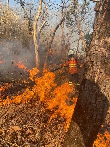 Bombeiro combate focos de incêndio no estado do Mato Grosso - Corpo de Bombeiros do Mato Grosso