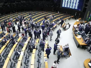 Zeca Ribeiro - 12.jun.2024/Câmara dos Deputados