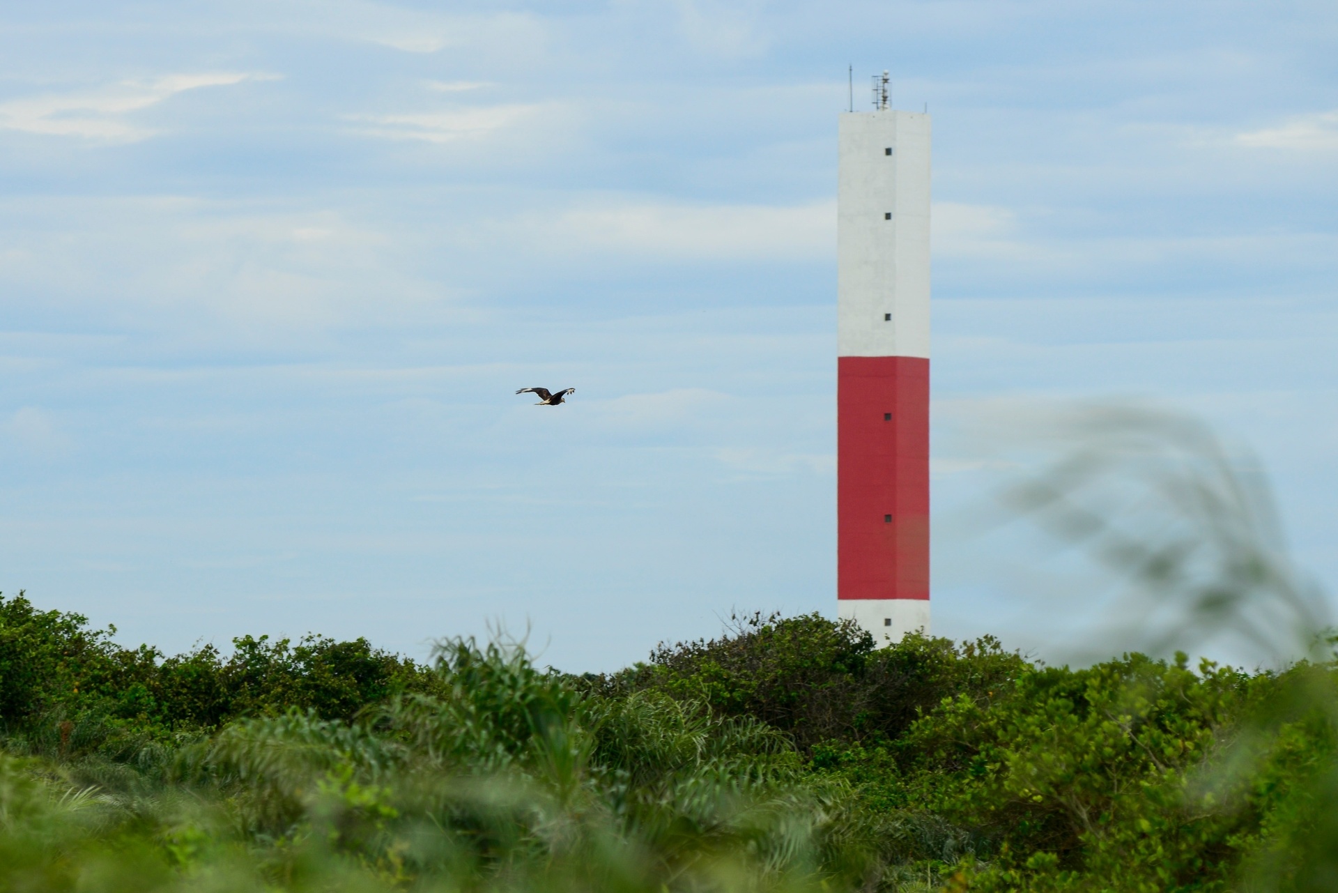 21.nov.2015 - A lama deve chegar neste fim de semana a pequena Regência, distrito de Linhares (ES), localizada na foz do Rio Doce. Boias estão sendo instaladas pela Samarco, empresa responsável pelas barragens, para tentar conter os rejeitos. As boias são similares às usadas em acidentes com vazamento de petróleo e é a primeira vez que são aplicadas em acidentes na área da mineração. No total, a cerca deve envolver nove quilômetros da foz, em áreas sensíveis como mangues e ilhas - Gabriel Lordello/Mosaico Imagem/UOL