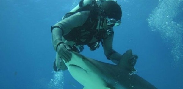 Riccardo Sturla Avogadri desenvolveu uma técnica para imobilizar tubarões - Arquivo pessoal