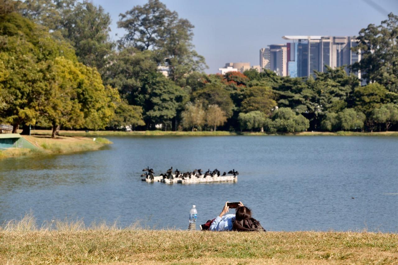 O Parque do Ibirapuera está fechado, mas isto não impediu que pessoas fossem até as proximidades para aproveitar o sol   e até fazer piquenique - Ricardo Matsukawa/UOL