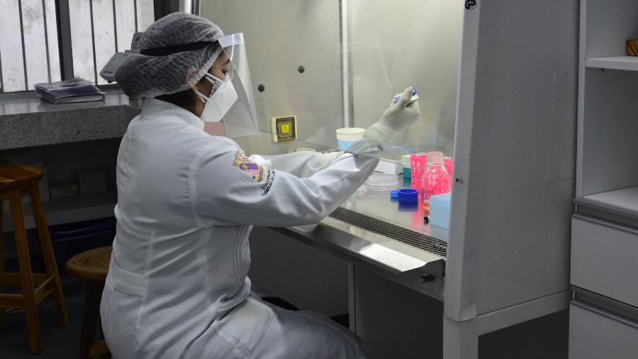 Pesquisadora trabalha em pesquisa de vacina contra covid-19 no Laboratório de Biotecnologia e Biologia Molecular da Universidade Estadual do Ceará - Divulgação/Universidade Estadual do Ceará