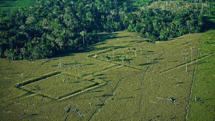 Geoglyph found in Fazenda Paraná in the Amazon region of Acre - Reproduction/Wikipedia - Reproduction/Wikipedia