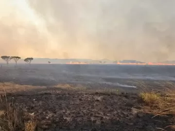 Incêndio consome 10 mil hectares na Chapada dos Veadeiros, em Goiás