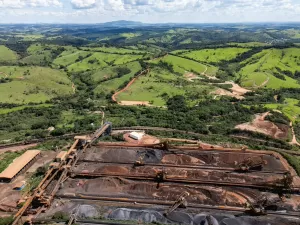 Tamás Bodolay/ Repórter Brasil