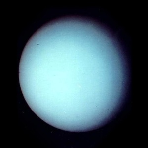 Nasa Nasa