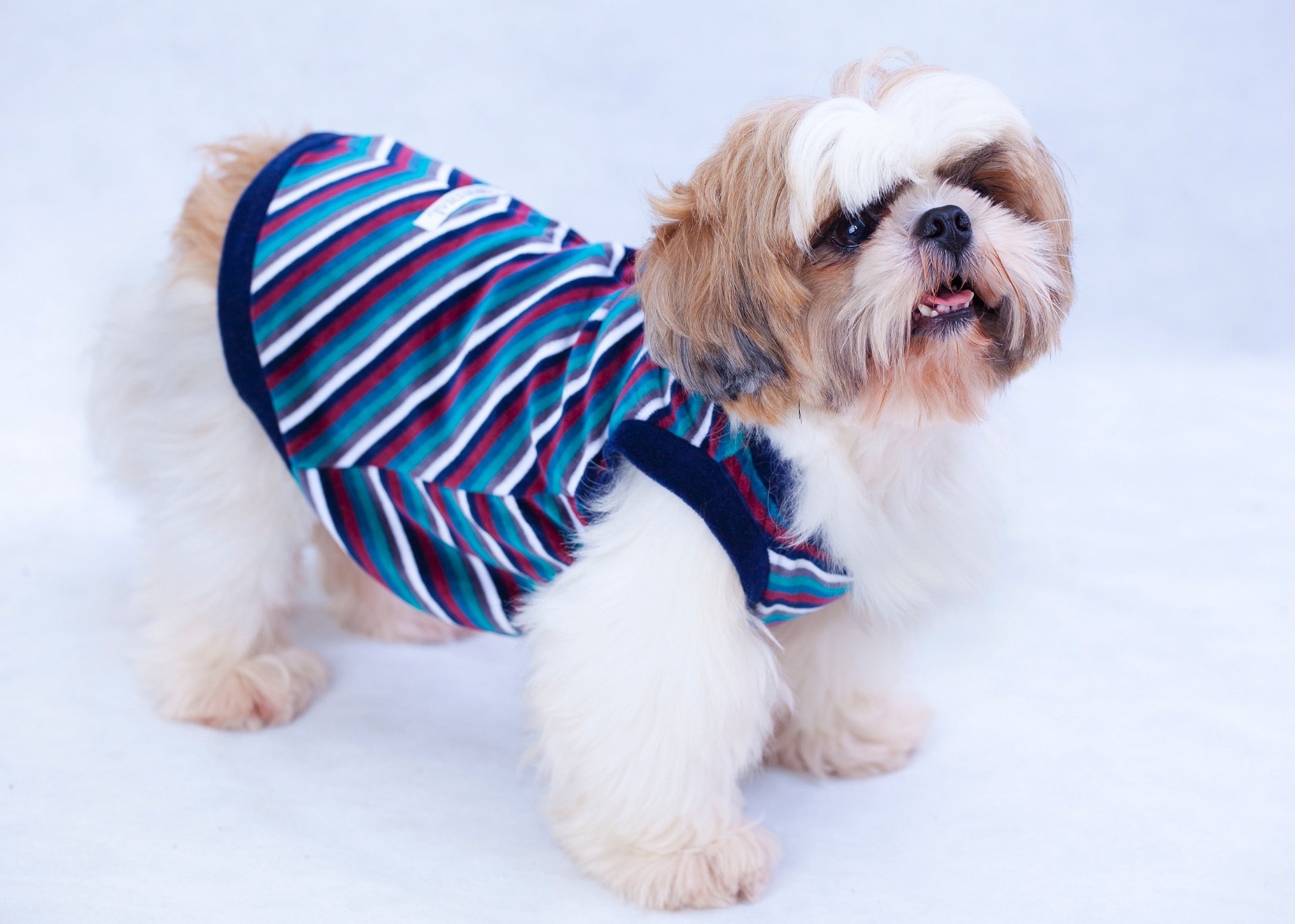 A Monthal tem uma linha de pijamas para toda a família e seus pets. Criada em 1991, na cidade de Friburgo (RJ), ela vende, em média, 8.000 peças por mês entre pijamas, camisolas, short doll e lingerie. - Divulgação