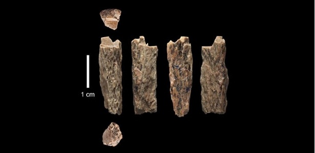 Fragmentos de ossos de hominídeos de Denisova - Nature