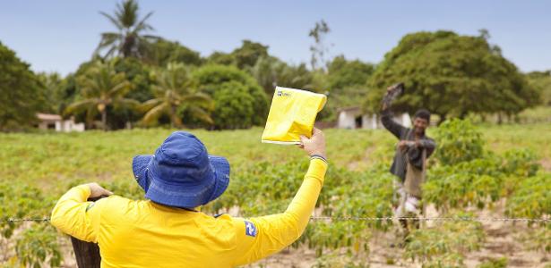 Correios: provas do concurso serão realizadas neste domingo; veja dicas